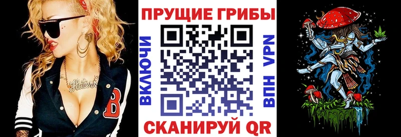 Галлюциногенные грибы Psilocybe  Юрга 